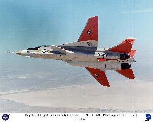 F-14aa.jpg (16045 bytes)