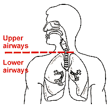 Spirometry: Detecting airway obstruction